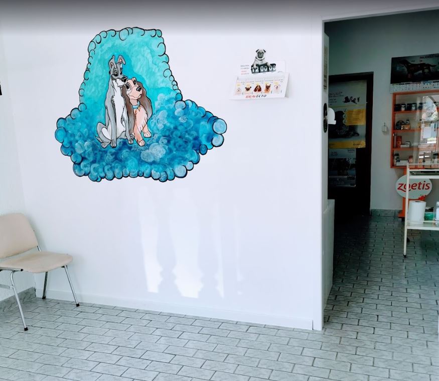Veterinarska Ambulanta APA VET Apatin (3)