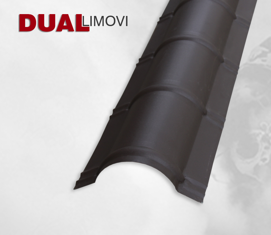 Dual-Limovi-Arilje-11