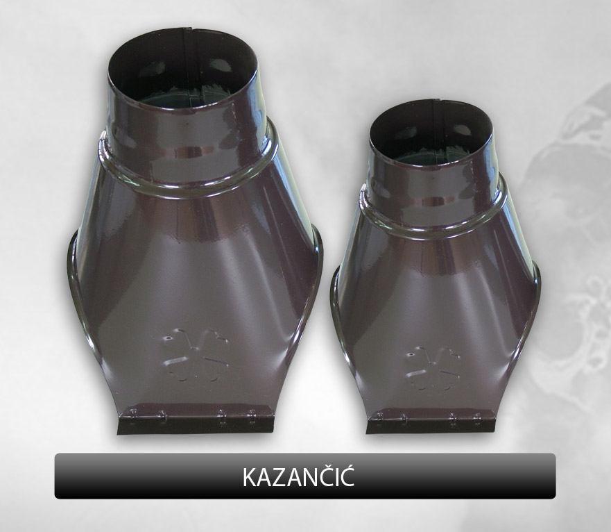 Dual-Limovi-Arilje-13