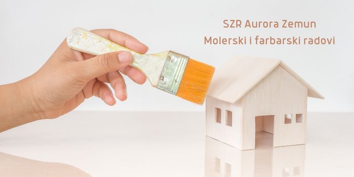 SZR Aurora Zemun fb