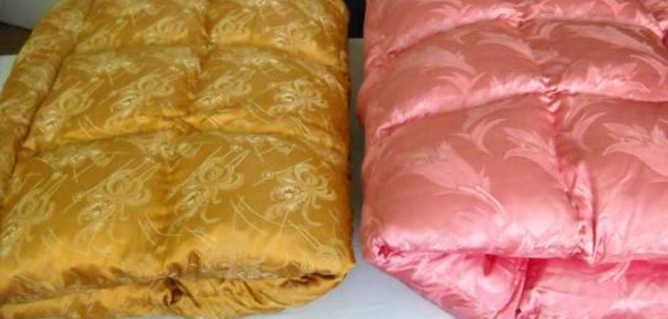 JORGANDŽIJSKA-RADNJA-RUŽA