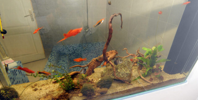 hostel jedro (4)