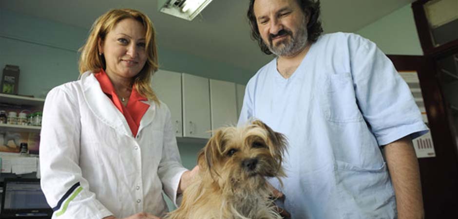 MIĆA-VETERINAR-Semperavet-D.O.O.