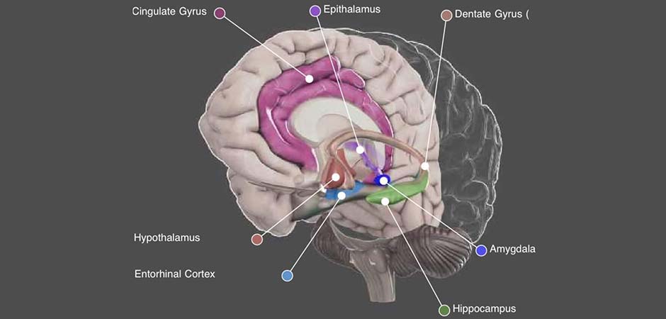 SPECIJALISTIČKA-ORDINACIJA-ZA-NEUROLOGIJU-I-PSIHIJATRIJU-DOKTOR-VESA