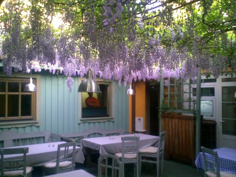 Darwin Garden Design (16)