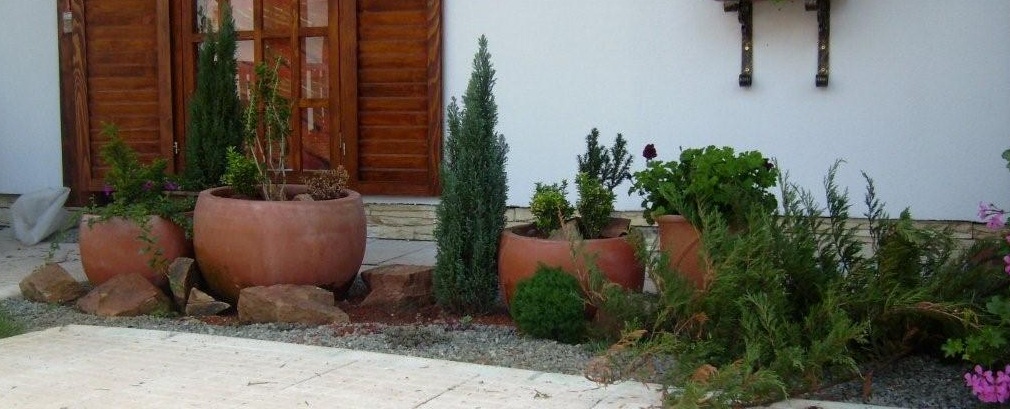 Darwin Garden Design (4)