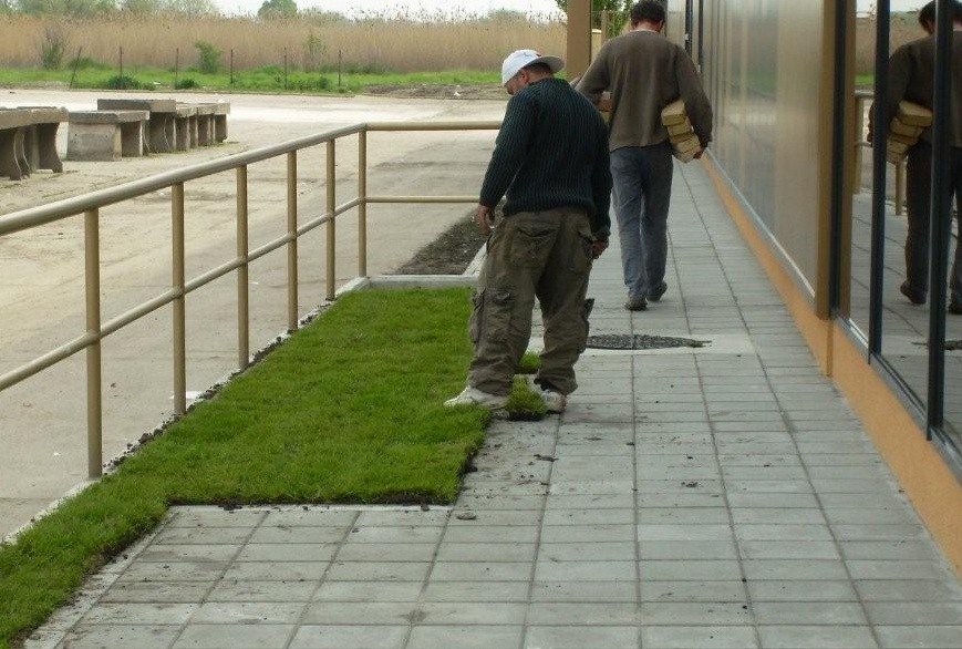Darwin Garden Design (7)