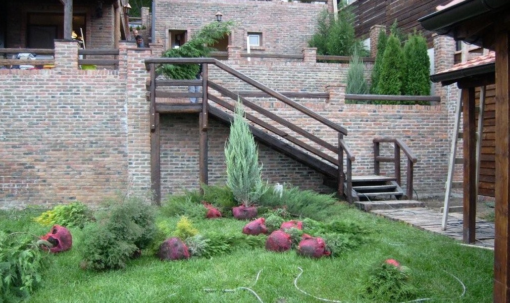 Darwin Garden Design (9)