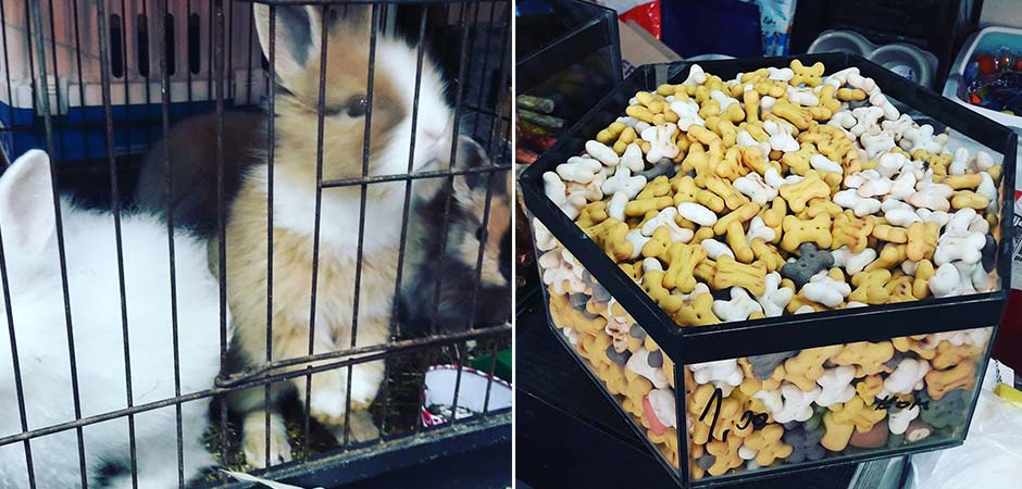 PET-ŠOP-LUKIJANO-15-ČAČAK