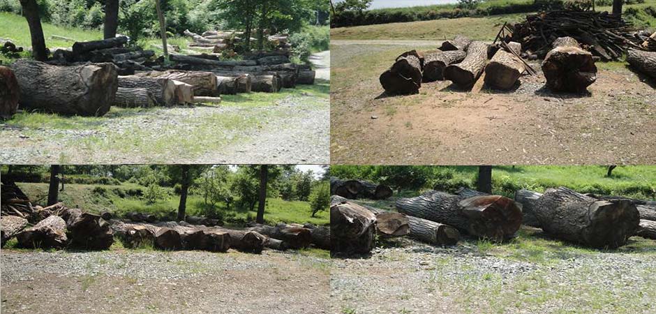 Timber-Trade-DOO