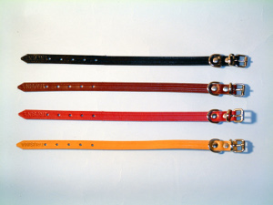 Trusina-Velezoo DOO Čenej (16)