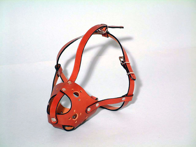 Trusina-Velezoo DOO Čenej (3)