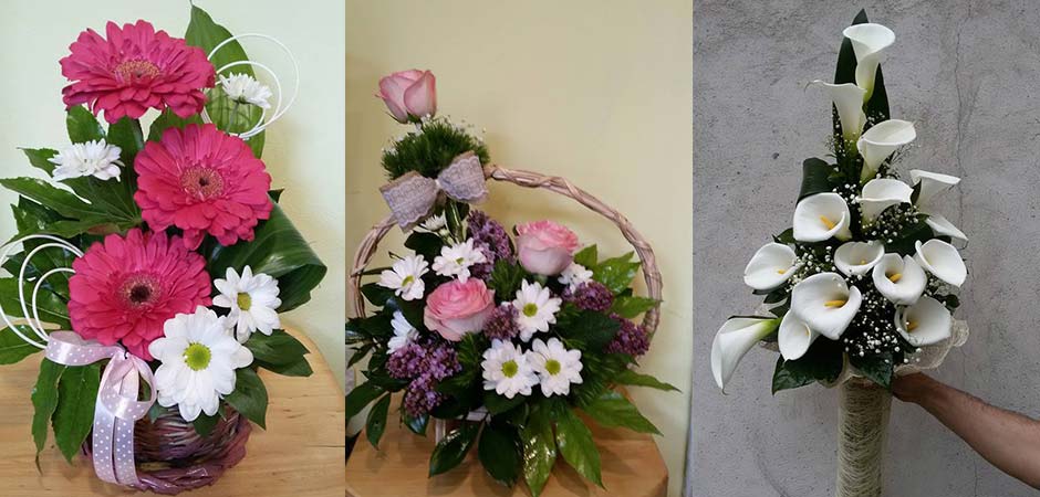 Cvecara-TNT-Zvoncica