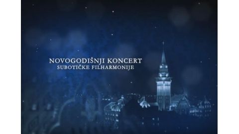 Dinovizija TV i video produkcija Subotica (6)