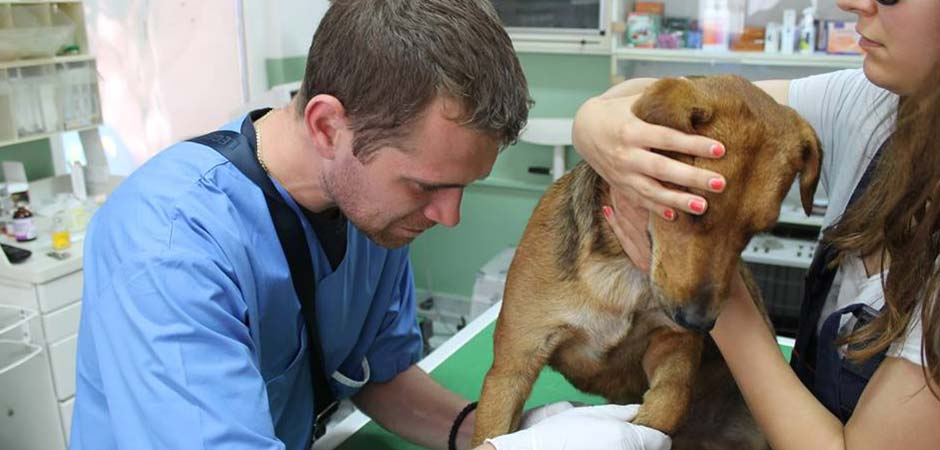 VETERINARSKA-AMBULANTA-DR.-MARKO---PET-HOUSE-D.O.O.
