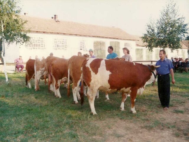 stočarstvo doo (1)