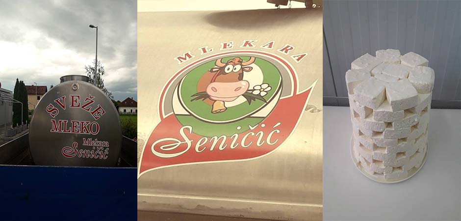 MLEKARA-SENIČIĆ-DOO-KRALJEVO