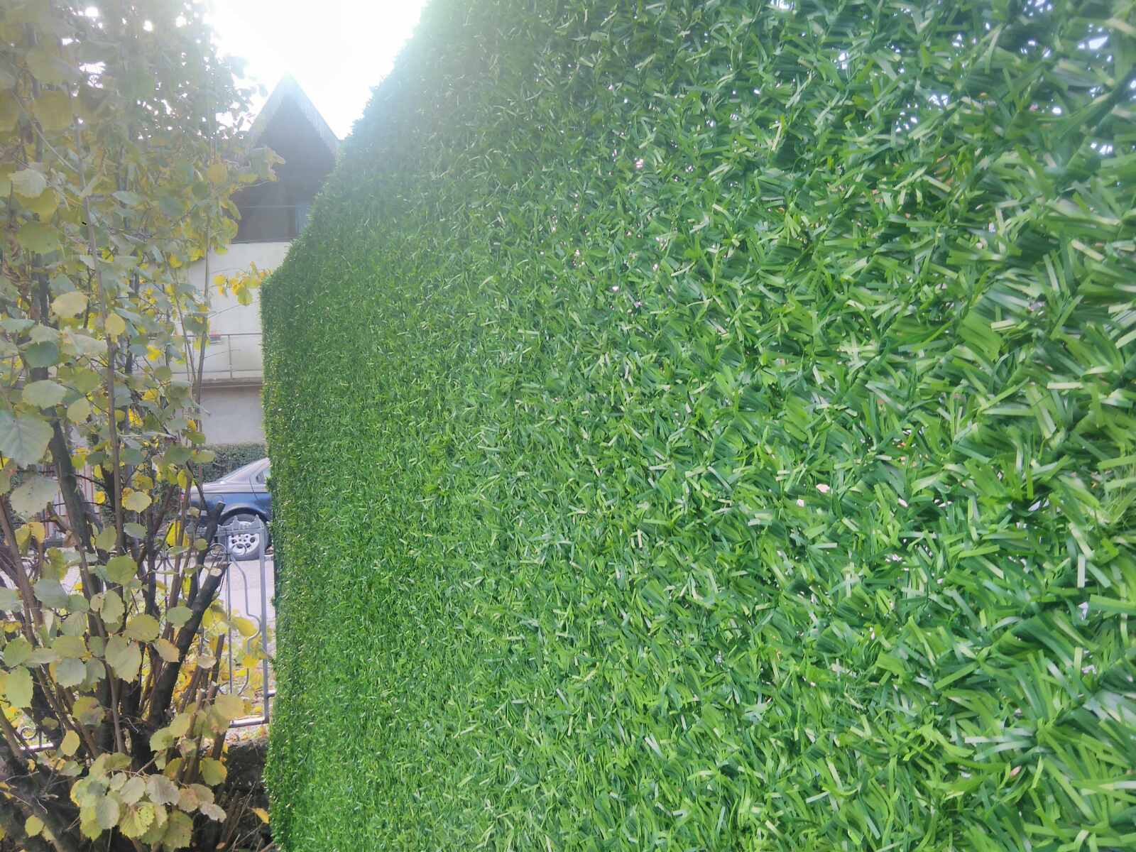 Voja Žica Kragujevac (15)