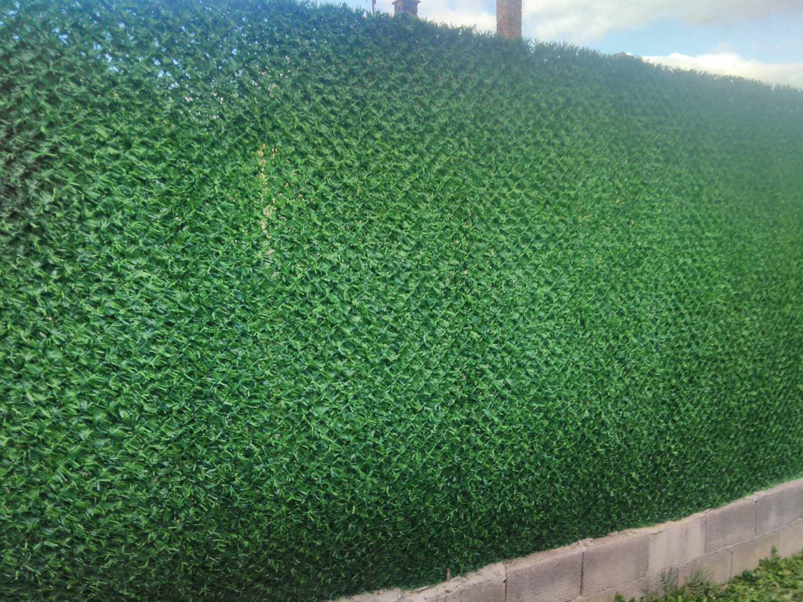 Voja Žica Kragujevac (16)