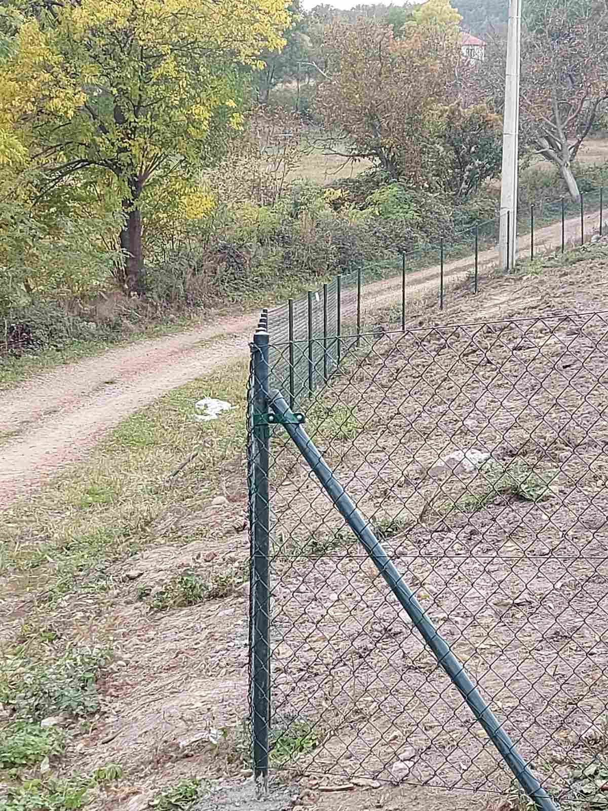 Voja Žica Kragujevac (17)