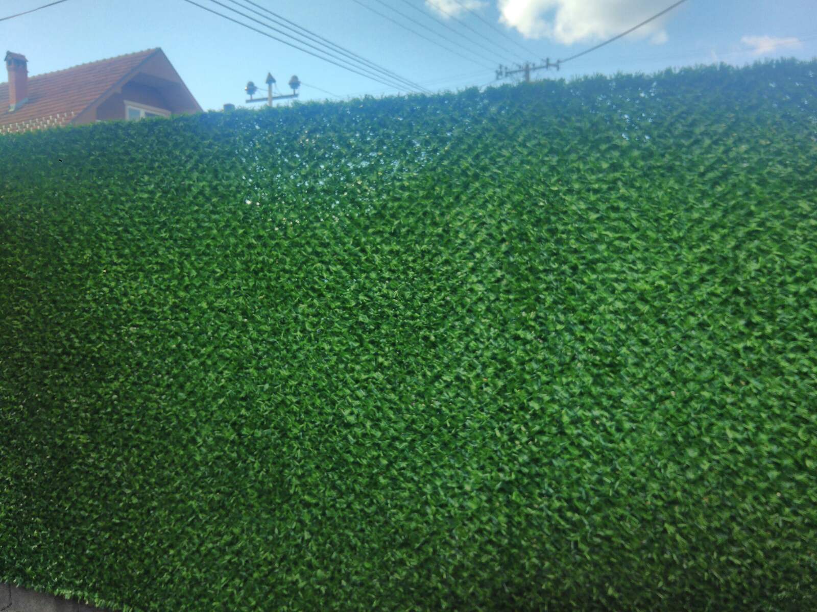 Voja Žica Kragujevac (18)