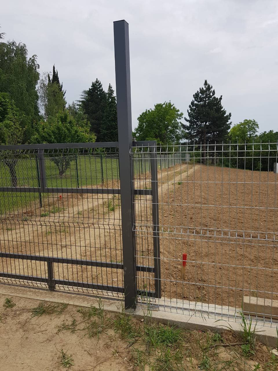 Voja Žica Kragujevac (5)