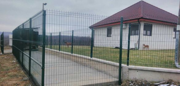 Voja Žica Kragujevac f