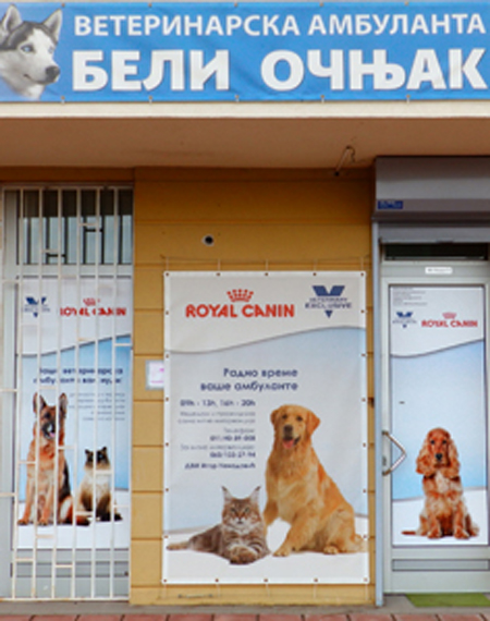 beli očnjak vet poslovne strane