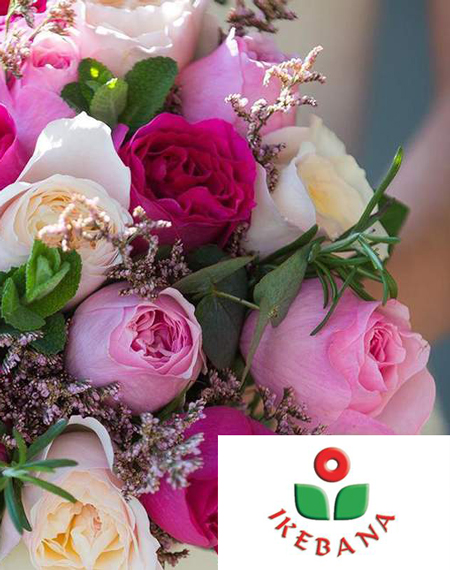 cvećara ikebana subotica