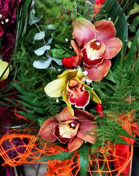 nova cvećara gaga zaječar