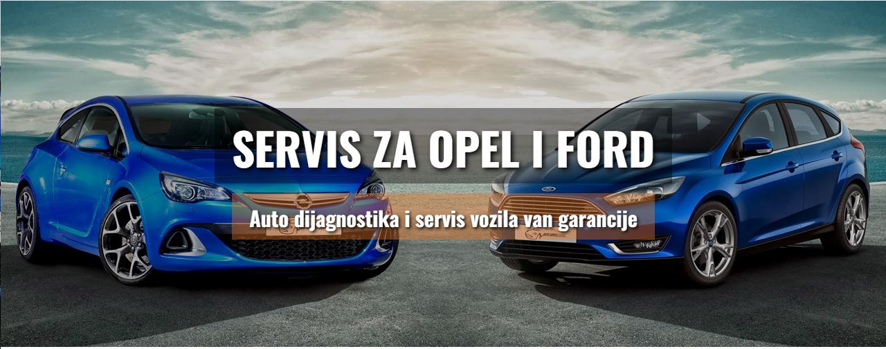 stepić5