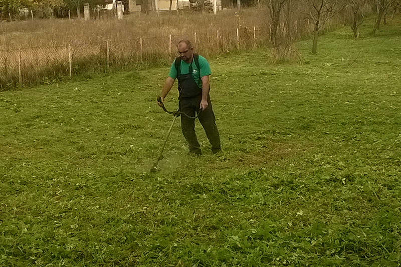 green service (13)