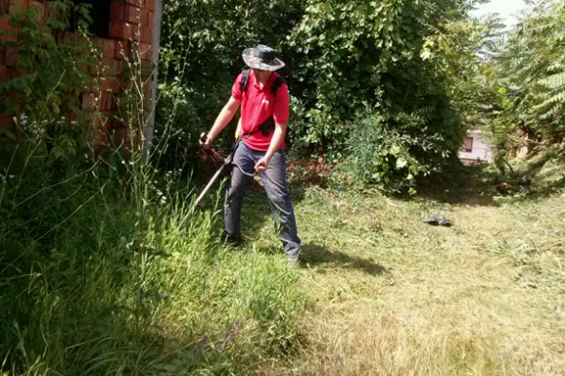 green service (3)