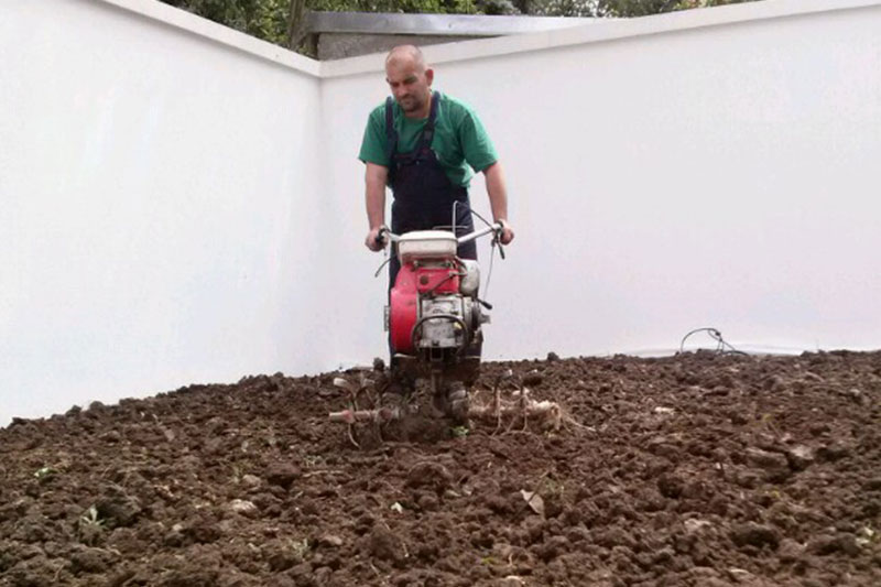 green service (8)