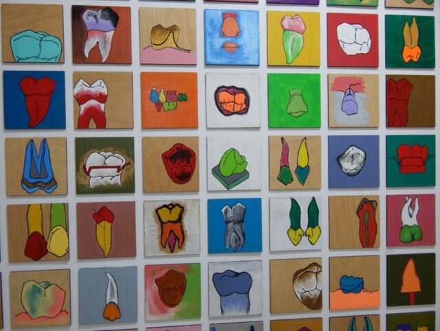 mini dental (6)