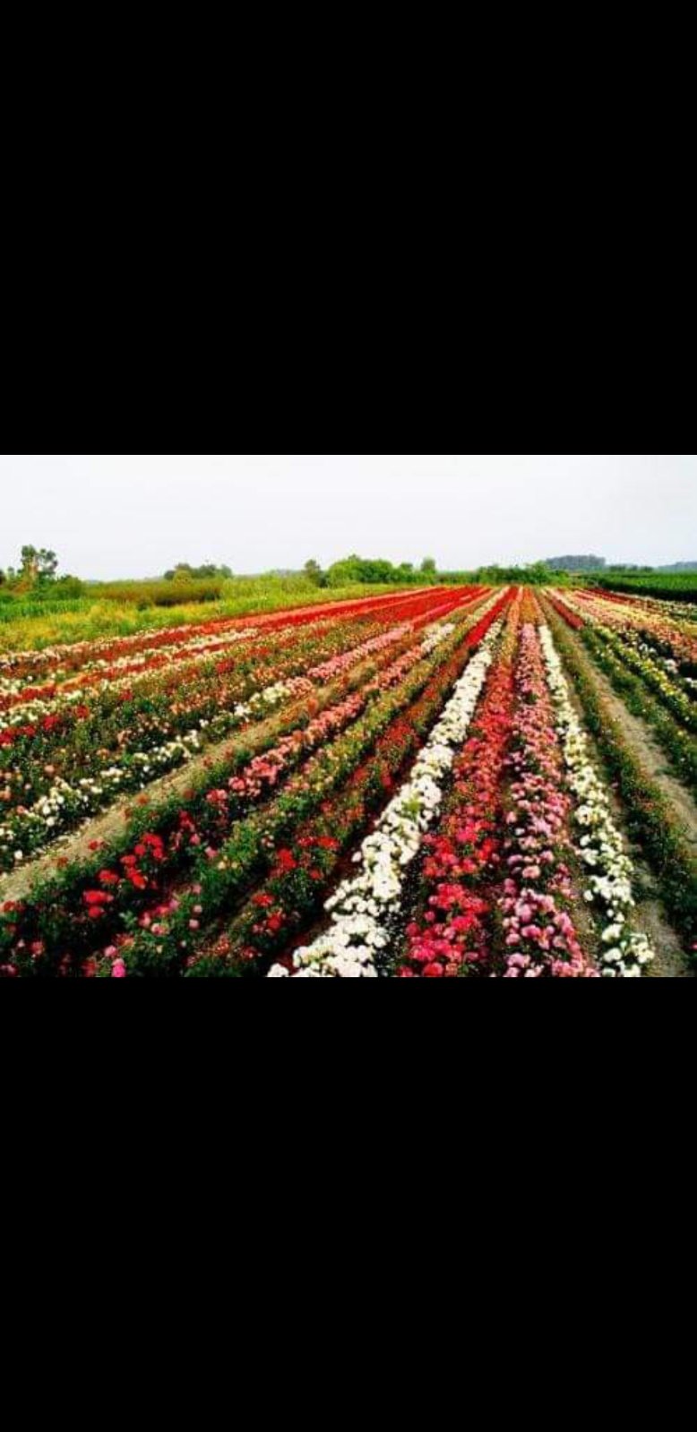 IMG-45ea77c3194ded31523d6f0522f951e3-V