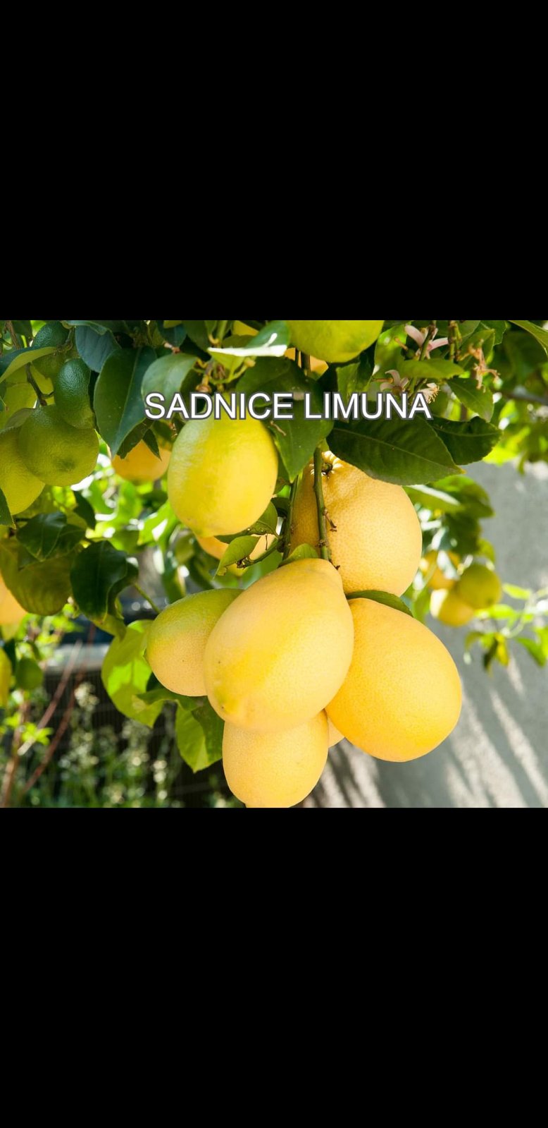 IMG-46648df775cd41d73ea33b56dc22720d-V