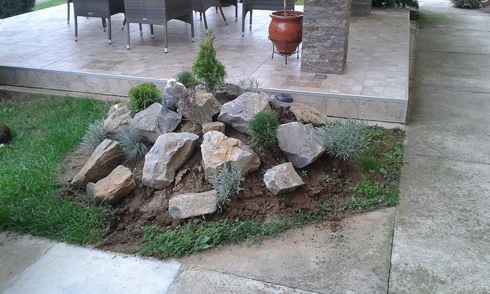 Rasadnik četinara Saša Bogatić (6)