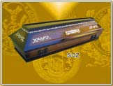 STZR Mimoza Lux (16)
