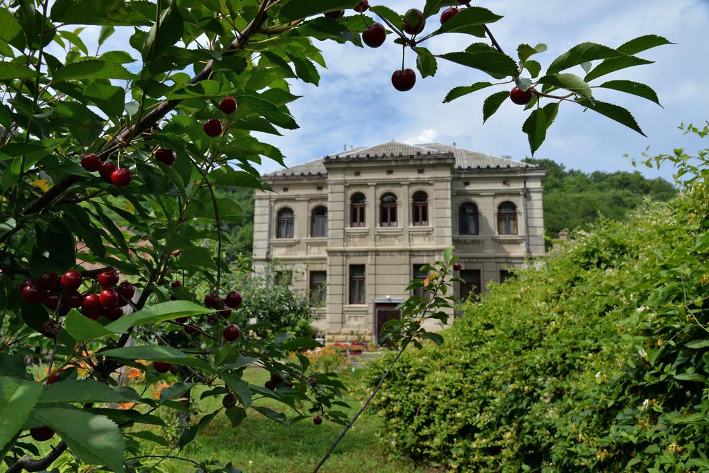 Vinski dvorac Dunjin Konak Rogljevo (1)