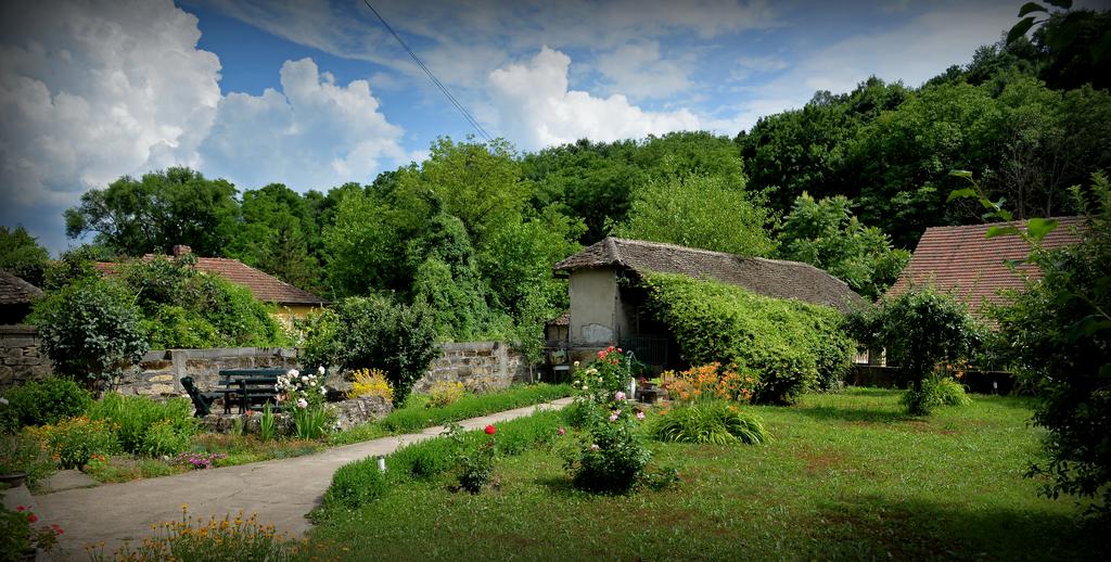 Vinski dvorac Dunjin Konak Rogljevo (15)