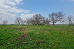 Mirna R&N Nekretnine Sombor (2)