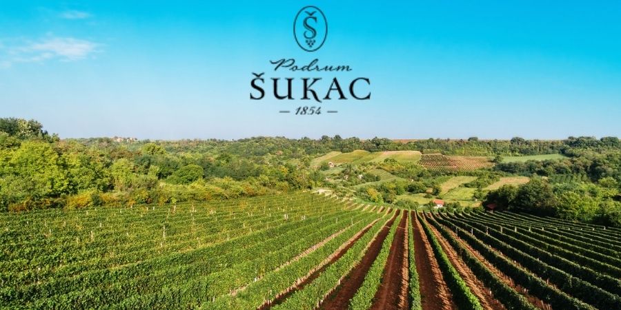 Podrum Šukac Sremska Kamenica 9