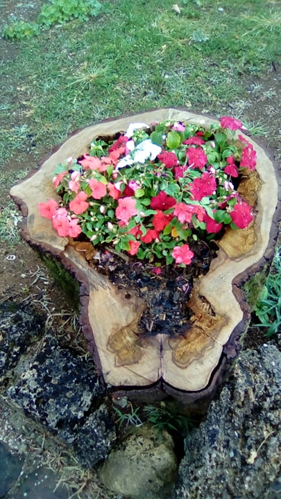 Etno domaćinstvo Kutlačić Zarube, Valjevo (37)