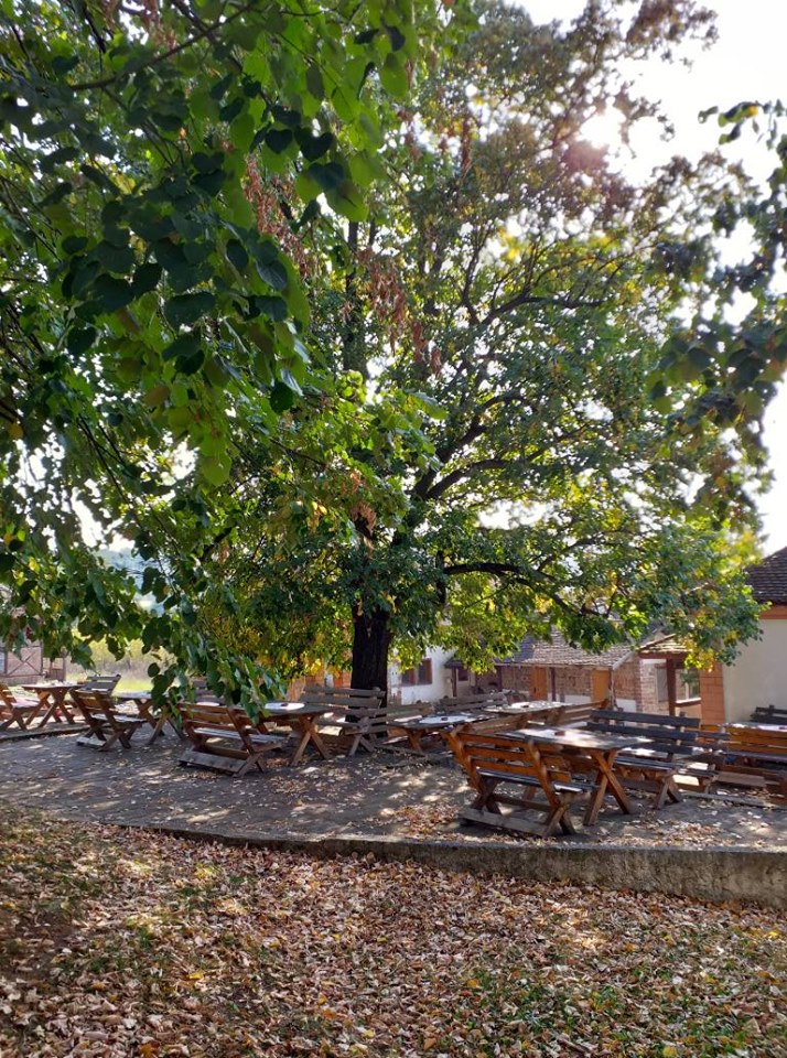 Etno domaćinstvo Kutlačić Zarube, Valjevo (77)