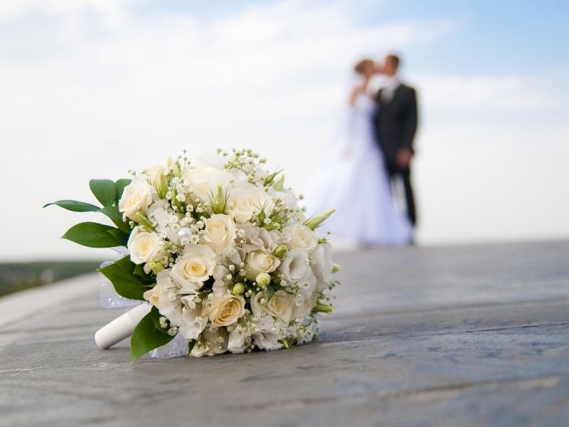 Wedding Studio Pro D Plus 1 (4)