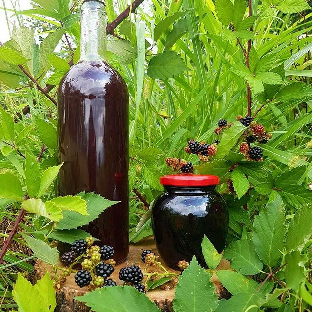 66850142_544105732997963_4676887365559268810_n