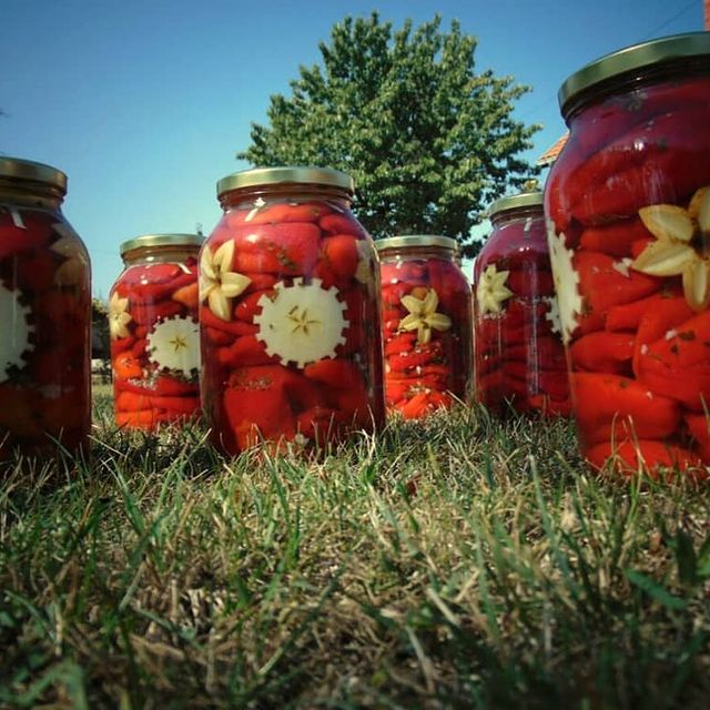 69661003_384057439145771_7378986799967593473_n