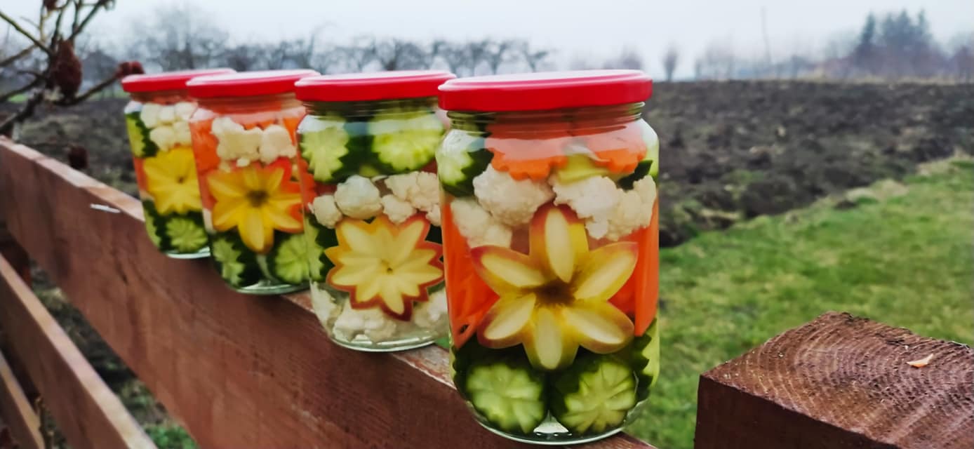 Anina domaća zimnica Topola (28)