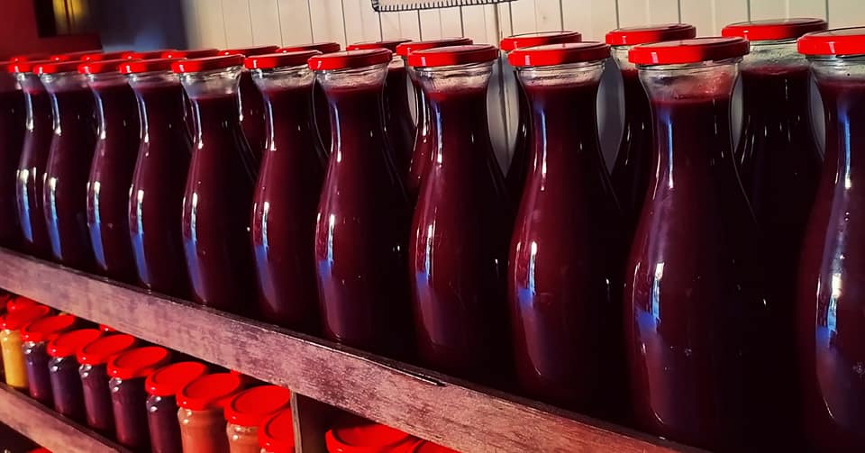 Anina domaća zimnica Topola (30)